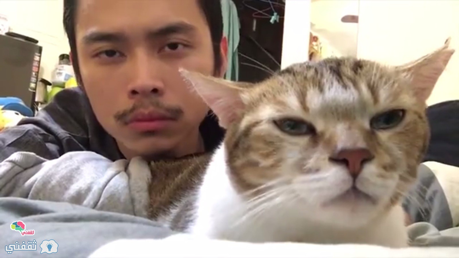 فيديو : شاهد ماذا يفعل الشاب مع هذه القطة هيموتك من الضحك