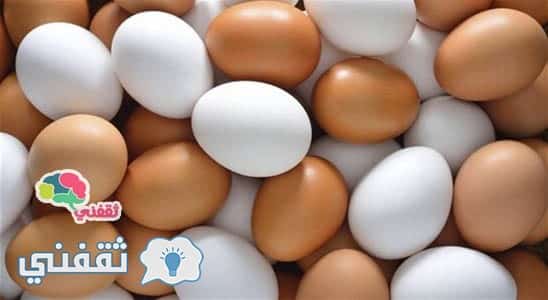 الفرق بين البيض الأبيض والبيض الأحمر ومن الأفضل والأعلى فى القيمة الغذائية