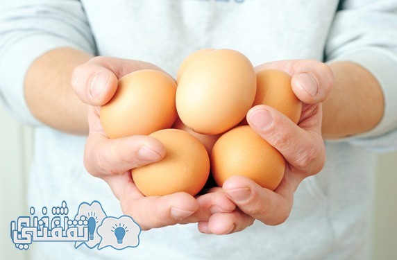 بالفيديو : بالشرح أسهل طريقة لحفظ البيض بالشهور وهو طازج.