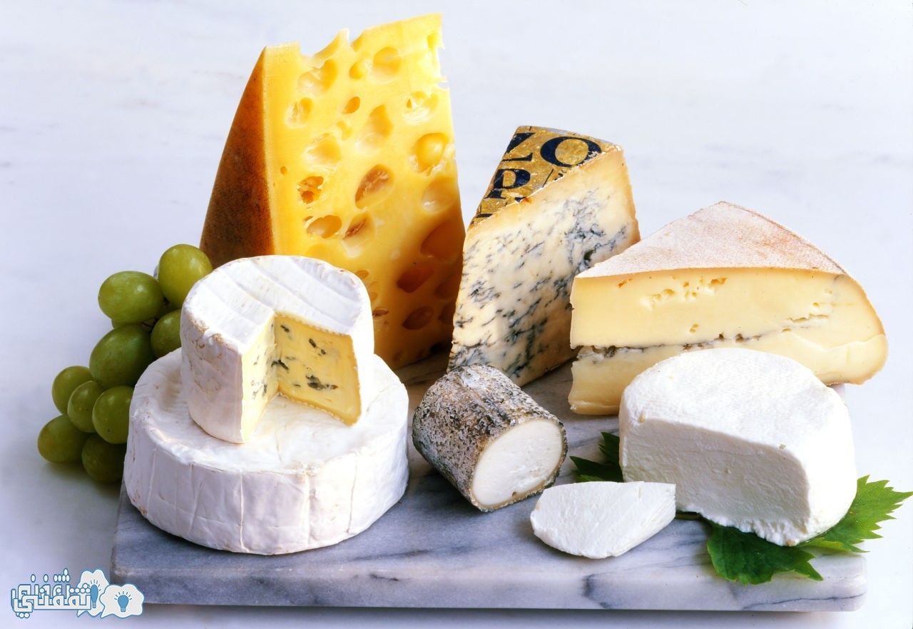بشرى ساره : دراسة جديدة تقول الجبن يمكن أن تساعد فى قتل خلايا السرطان