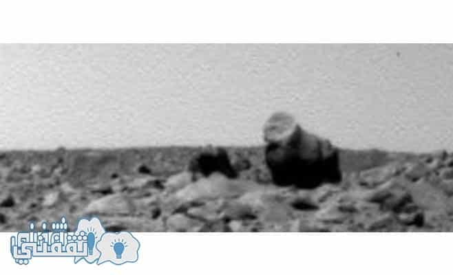 بالصور والفيديو .. رصد غوريلا على كوكب المريخ