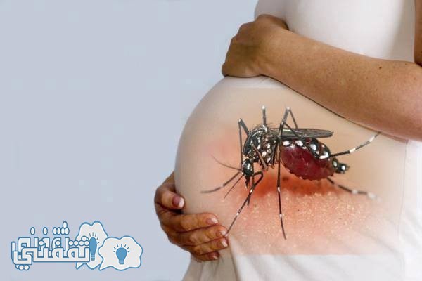 عاجل |الصحة العالمية تطلق تحذيرا لنساء العالم بسبب “فيروس زيكا” في فترات الحمل