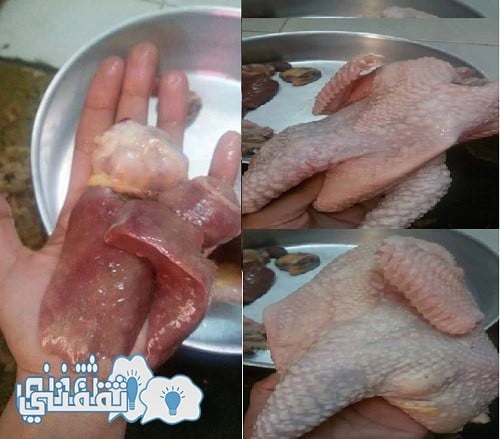تحذير هام.. شرح بالصور كيفية معرفة الدجاج المسرطن بعد الذبح