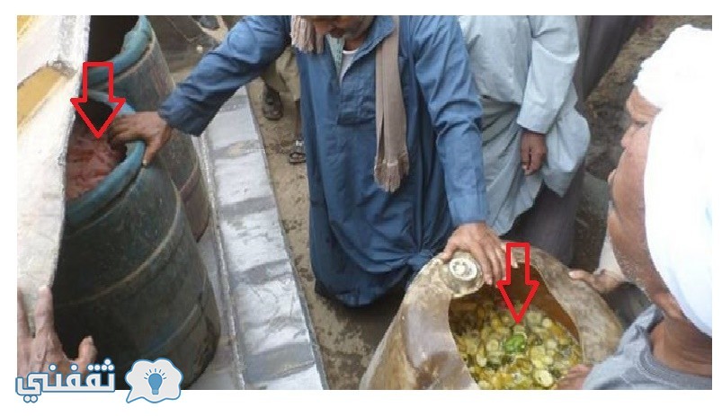 ضبط مصنع مخلل يستخدم مياه الصرف الصحي لإنتاج المخلل استعداد لشهر رمضان