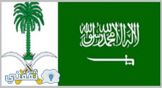 تعرف علي معني السيفين والنخلة في علم السعودية وما هو الاسم القديم للمملكة وأيضا سبب الاسم الحالي.