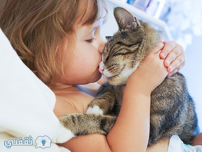 تقبيل القطط يسبب الوفاة للإنسان