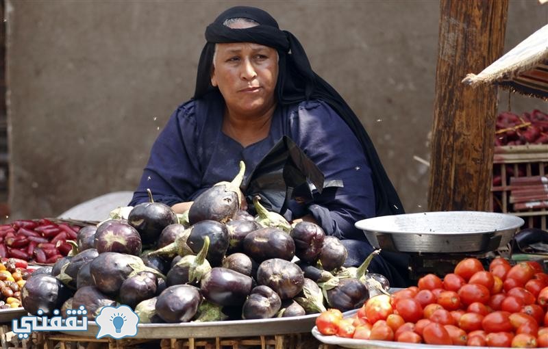 أسعار الخضروات اليوم الأربعاء 22 فبراير في الأسواق المصرية نشرة محدثة….