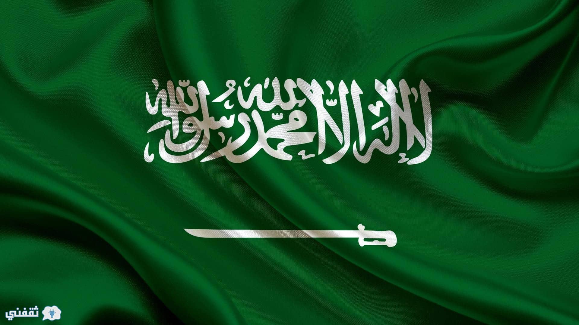 السعودية  تقر قانون يضع المغتربين تحت المراقبة