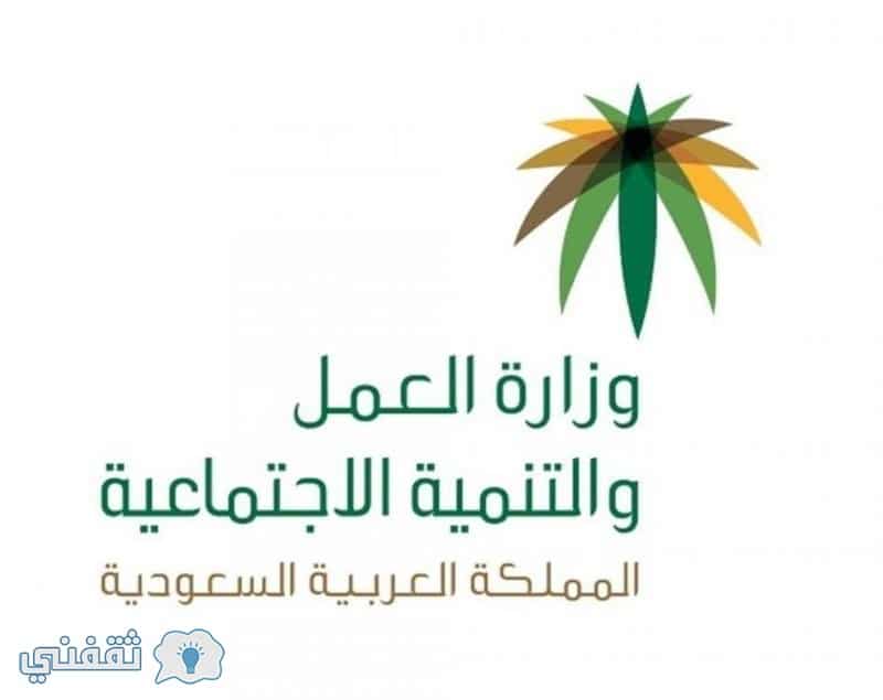 الاستعلام عن نطاق مؤسسة أو اسم الكفيل عبر موقع وزارة العمل الخدمات الالكترونية السعودية