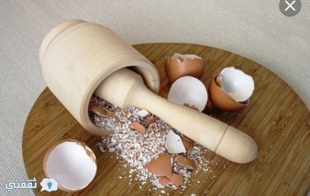 فوائد قشر البيض وطريقة  الاستخدام الصحيحة