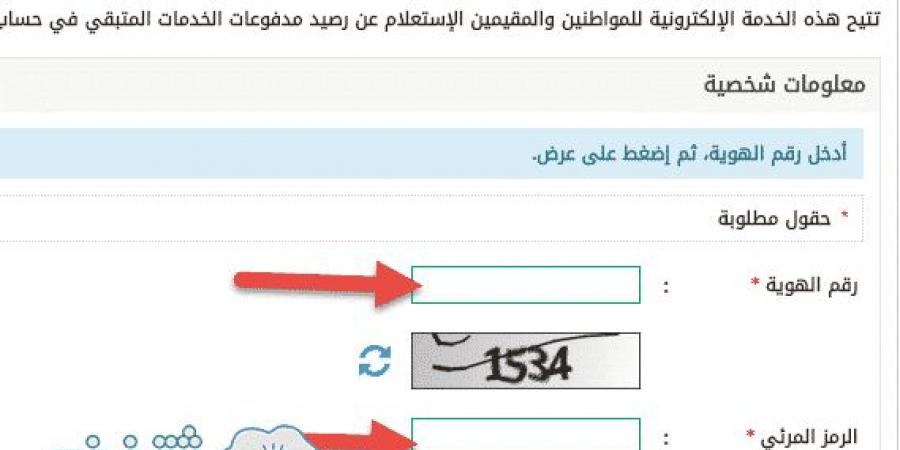 الاستعلام عن رصيد المدفوعات المتبقي برقم الهوية رابط معرفة مدفوعات الخدمات وزارة الداخلية السعودية