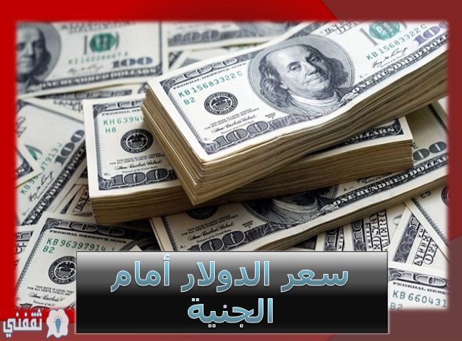 سعر الدولار الأمريكي في البنوك المصرية الأربعاء 25 ديسمبر 2019