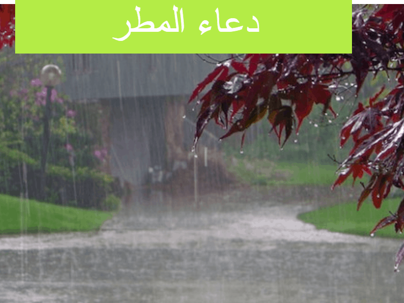 دعاء المطر وطريقة الدعاء بالنصوص الإسلامية الصحيحة