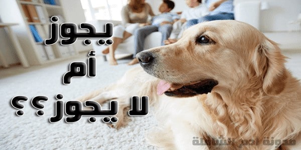 حكم تربية الكلاب في المنزل والتجارة بها في الإسلام