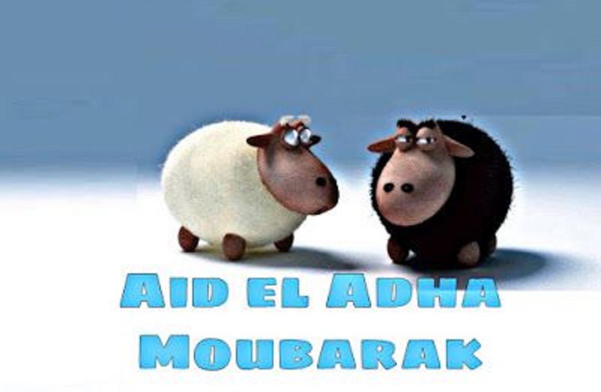 Eid al-Adha أحدث صور وخلفيات تهنئة عيد الأضحى 2021 .. حالات واتس بمناسبة عيد الأضحى WhatsApp story