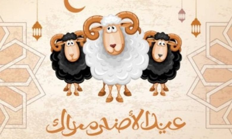 تهنئة عيد الاضحى.. افضل الرسائل والعبارات لإهدائها الى الاقارب والاصدقاء بمناسبة حلول العيد