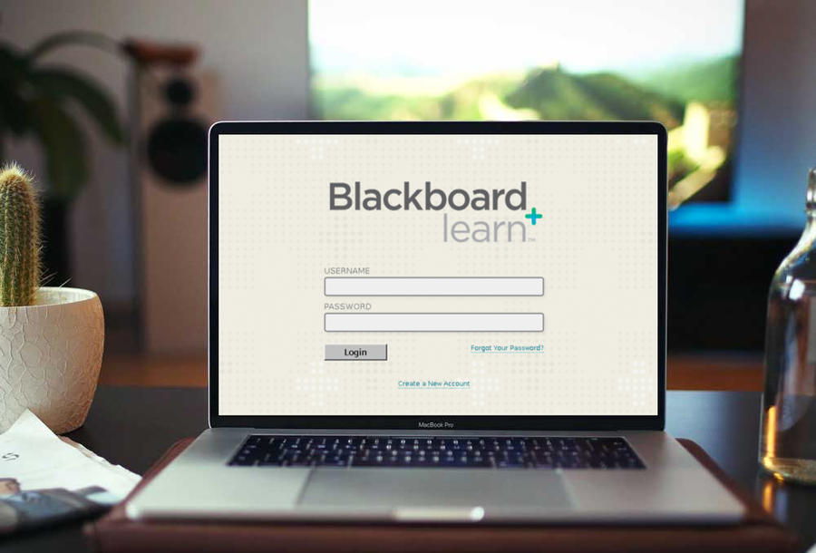 بلاك بورد الكلية التقنية “Blackboard” طريقة الدخول الموحد من خلال رابط الكلية التقنية