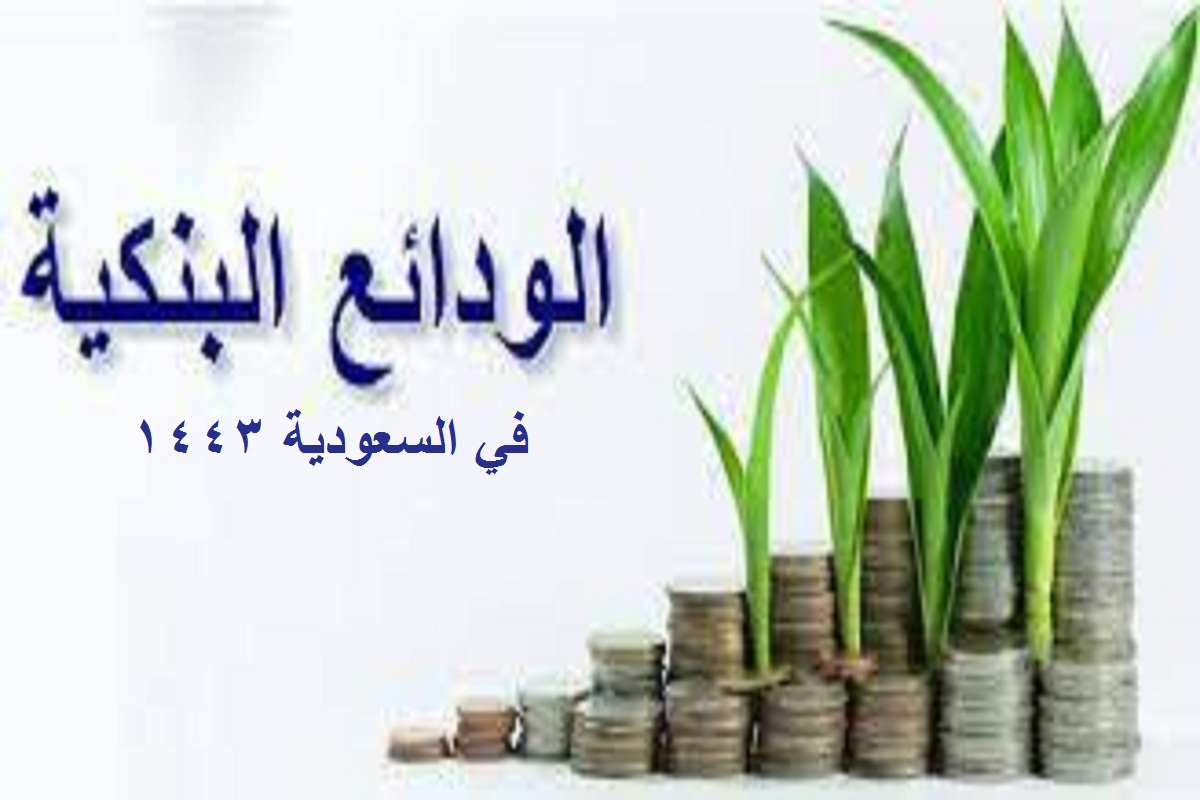 أفضل بنك يقدم فوائد على الودائع في السعودية 1443 (بنك الرياض – بنك السعودي للاستثمار)