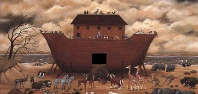 عصيان قوم نوح لله ودعاء سيدنا نوح عليهم