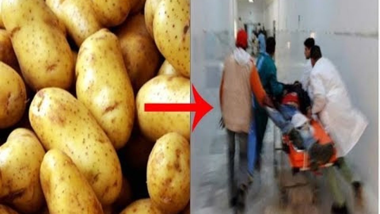وفاة أسرة كاملة بسبب تصرف خاطئ تفعله الأمهات عند طهي البطاطس بهذه الطريقة الخاطئة