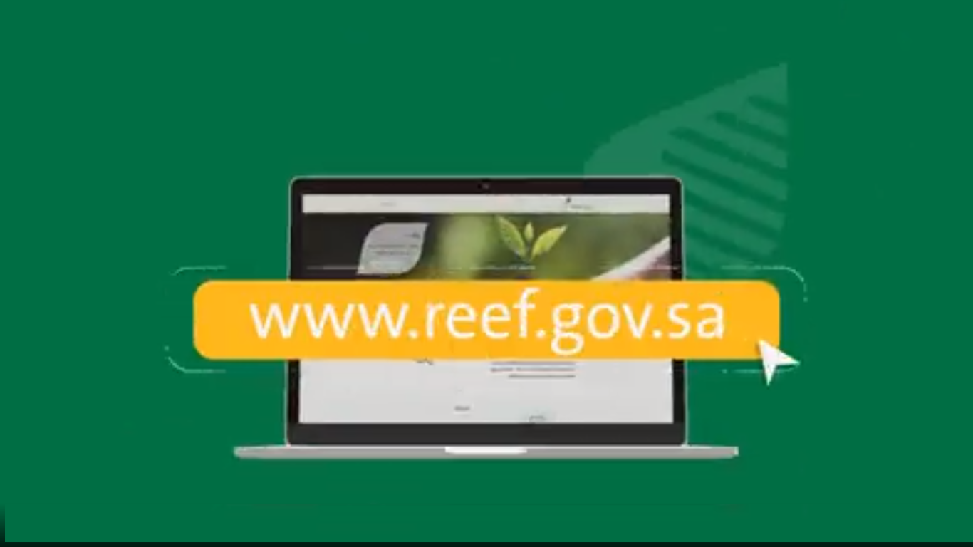 رابط التسجيل في برنامج ريف reef.gov.sa ورقم برنامج ريف الموحد