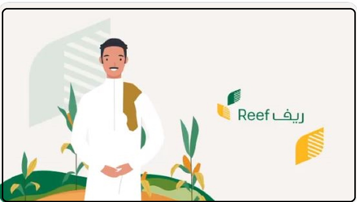 شروط التسجيل في برنامج ريف Reef لدعم المشاريع الزراعية