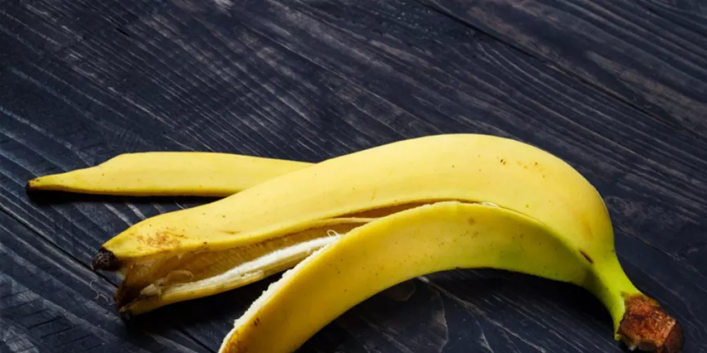 كنز من الفوائد في قشور الموز.. أهم فوائد قشور الموز لن تصدقوها