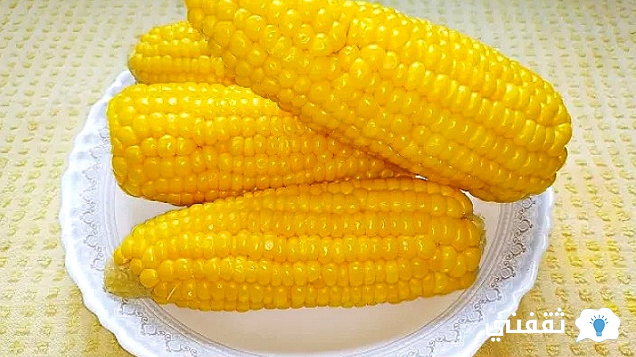 طريقة عمل الذرة الحلوة أو السويت كورن اللذيذة وأهم فوائد الذرة الغذائية