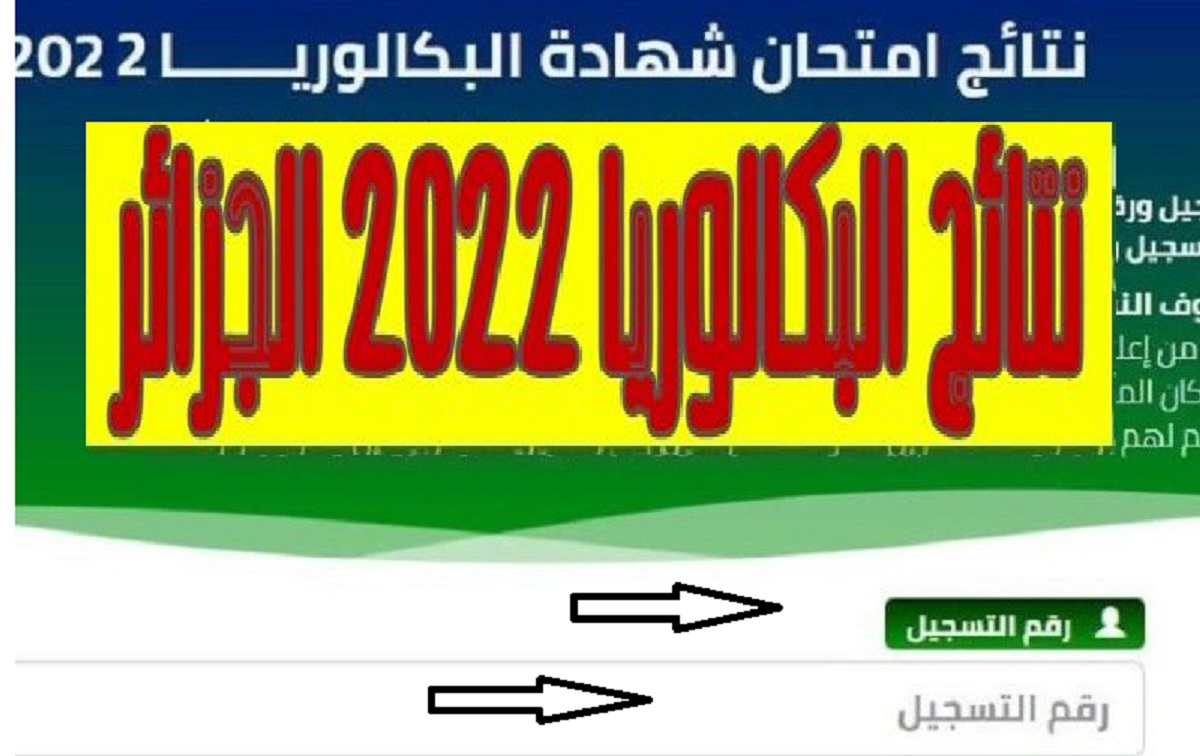 onec.dz رابط الاستعلام عن نتائج امتحانات البكالوريا في الجزائر 2022 عبر موقع الديوان الوطني للامتحانات والمسابقات