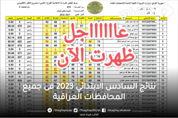 مجانا.. نتائج السادس الابتدائي 2023 الدور الاول محافظة الكرخ 1/ الكرخ 3 وباقي المحافظات