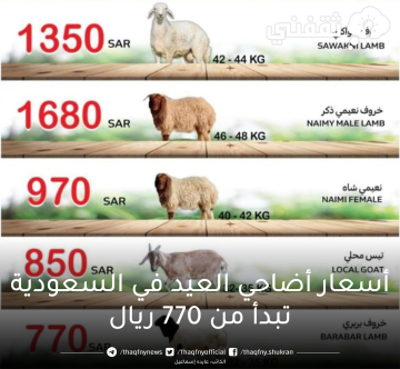 أسعار أضاحي العيد في السعودية تبدأ من 770 ريال فقط