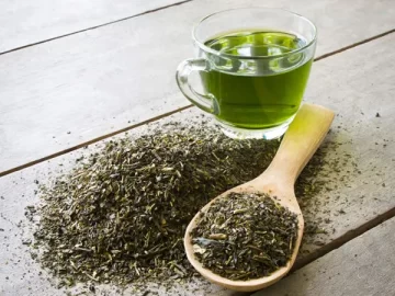 الشاي الأخضر يحسن الذاكرة ويحمي القلب..  تعرف على فوائد وأضرار الشاي الأخضر