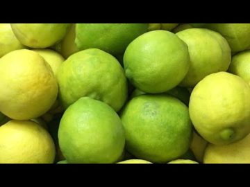 تخزين الليمون الأخضر داخل الثلاجة وطريقة داخل الفريزر من السنة للسنة