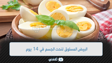 رجيم البيض المسلوق لنحت الجسم في 14 يوم فقط طريقة تطبيقه ومميزاته وأضراره