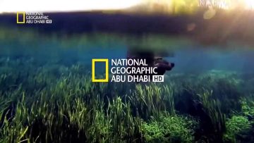 أستقبل الأن.. تردد قناة ناشيونال جيوغرافيك National Geographic لمتابعة أقوي البرامج حول العالم